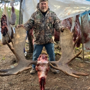 moose-hunting-ontario