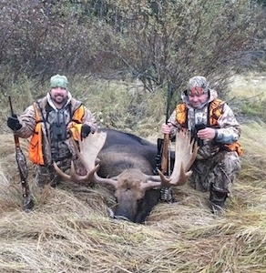moose2